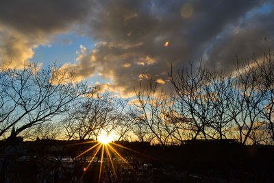 Silhouette of bare trees against sky during sunset