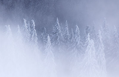 Full frame shot of snow against sky, rodnei mountains, romania 
