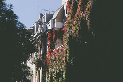 Low angle view of trees and buildings against sky