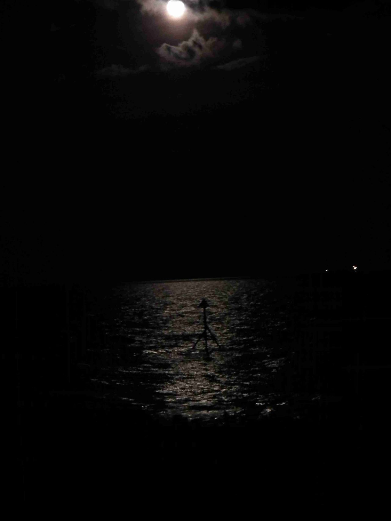 Moonlight on the Sea
