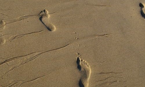 High angle view of footprints on sandy beach