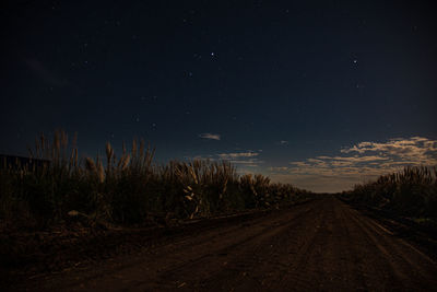 Road amidst plants against sky at night