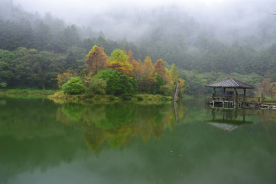 Scenic view of lake by trees on mountain