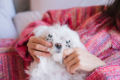 Midsection of person holding small dog