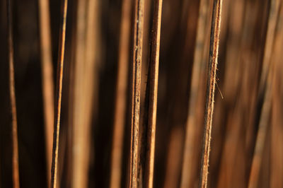 Full frame shot of rusty metal