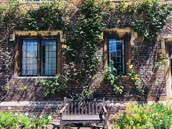 Trees and plants against building