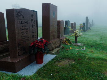 View of cemetery against cityscape