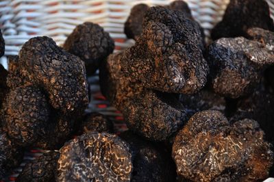 Truffes on market