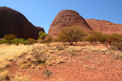 Walpa gorge. kata tjuta. northern territory. australia