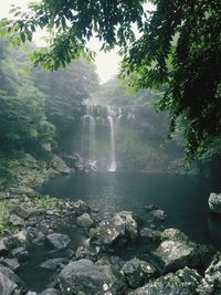 Scenic view of waterfall in forest against sky