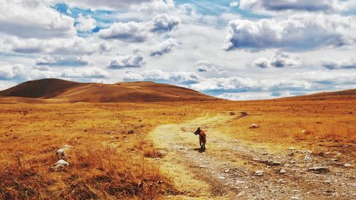 Man standing on field against sky