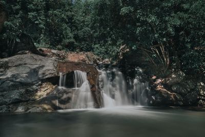 Beautiful view of waterfall in forest