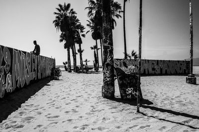 Palm trees at sandy beach