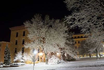 Snow covered street amidst trees and buildings at night