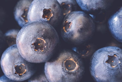 Macrophotography of fresh blueberries. top view. full frame background