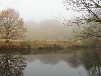 Reflection of trees in lake against sky