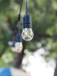 Low angle view of light bulb hanging from tree