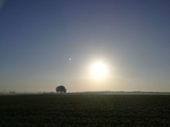 Scenic view of field against clear sky