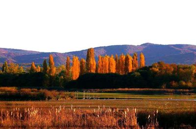 Scenic view of landscape against sky during autumn