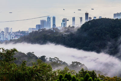 Trees in city against cloudy sky