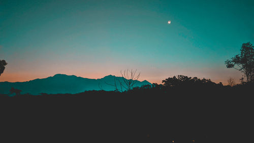 Silhouette of trees against sky at night