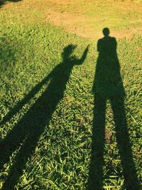 Shadow of people on field