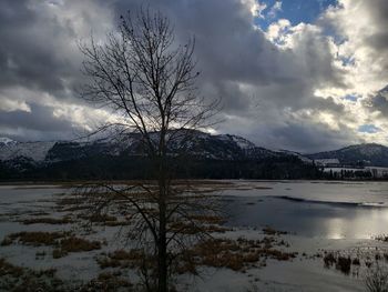 Scenic view of lake by snowcapped mountains against sky