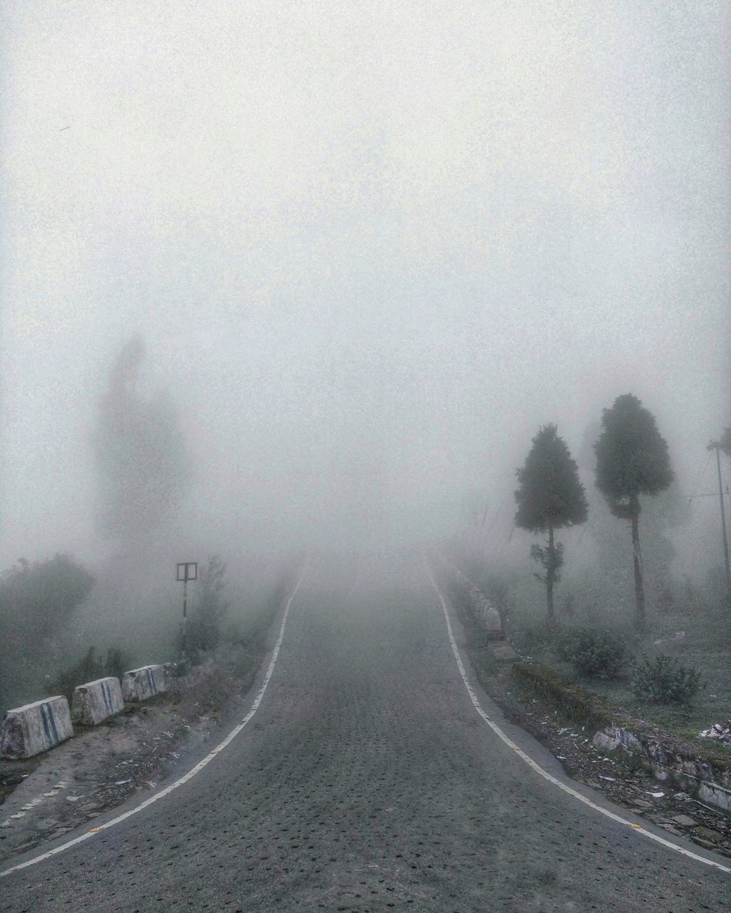 ROAD AMIDST TREES DURING WINTER AGAINST SKY