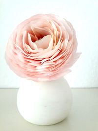 Close-up of white rose in vase