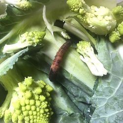 Full frame shot of vegetables