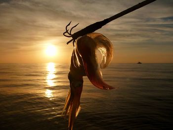 Full length of girl at beach during sunset