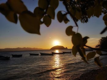 Silhouette trees by sea against sky during sunset