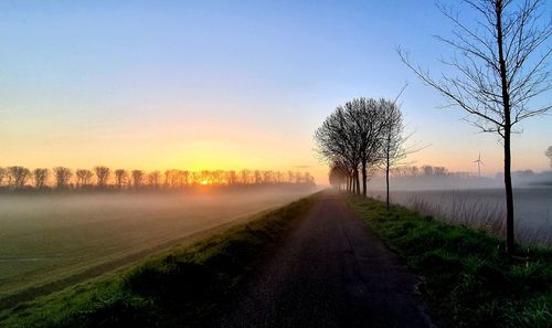 Tree lined back road between farm field against a clear sky during a misty sunrise