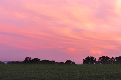 Scenic view of field against sky during sunset