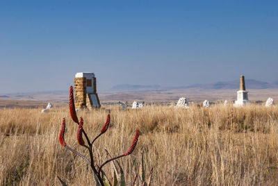 Wooden posts on field against clear sky