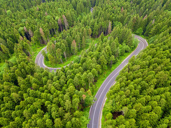 High angle view of road amidst trees in forest