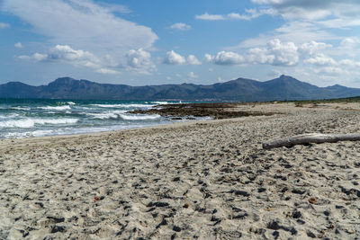 Scenic view of beach against sky