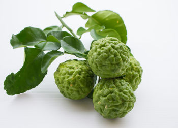 Close-up of green fruit against white background