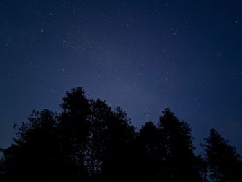 Low angle view of silhouette trees against sky at night