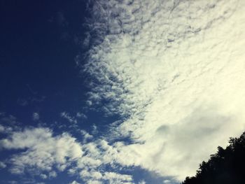 Low angle view of trees against sky