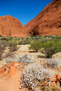 Scenic view of desert against sky