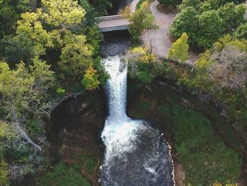 Scenic view of waterfall in forest