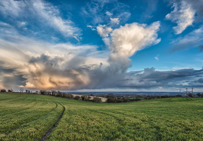 Scenic view of agricultural field against sky