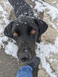 Low section of man standing on snow