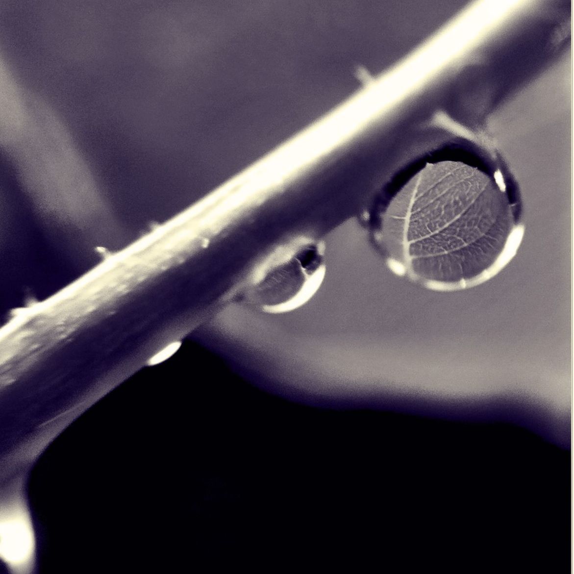 close-up, metal, focus on foreground, metallic, connection, selective focus, indoors, no people, electricity, detail, technology, protection, cable, hanging, safety, equipment, part of, night, single object, lighting equipment