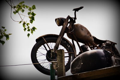 Low angle view of man against the sky