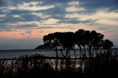 Silhouette trees by sea against sky at sunset