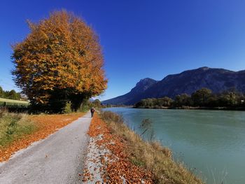 Scenic view of road by trees against clear blue sky