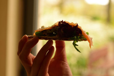 Close-up of hand holding lizard