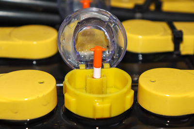 yellow